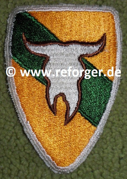 US Army 163rd Armored Cavalry Regiment Patch