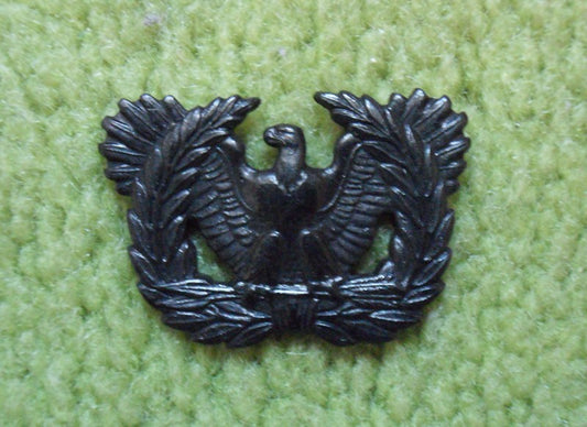Branch of Service Insignia BOS Warrant Officer Corps