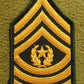 Rangabzeichen Command Sergeant Major