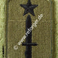 205th Infantry Brigade Abzeichen Patch