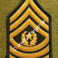 Rangabzeichen Command Sergeant Major