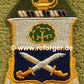 29th Infantry Regiment "WE LEAD THE WAY" Patch