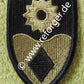 49th Infantry Brigade Patch