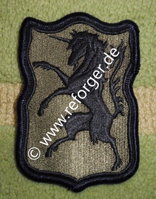 US Army 6th Armored Cavalry Regiment Patch