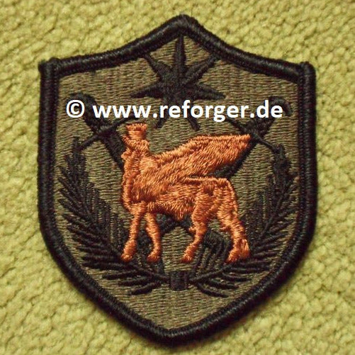 Multi-National Force Iraq Subdued (BDU) Patch