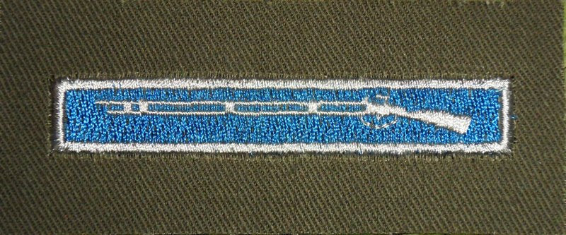 Army Expert Infantry Badge