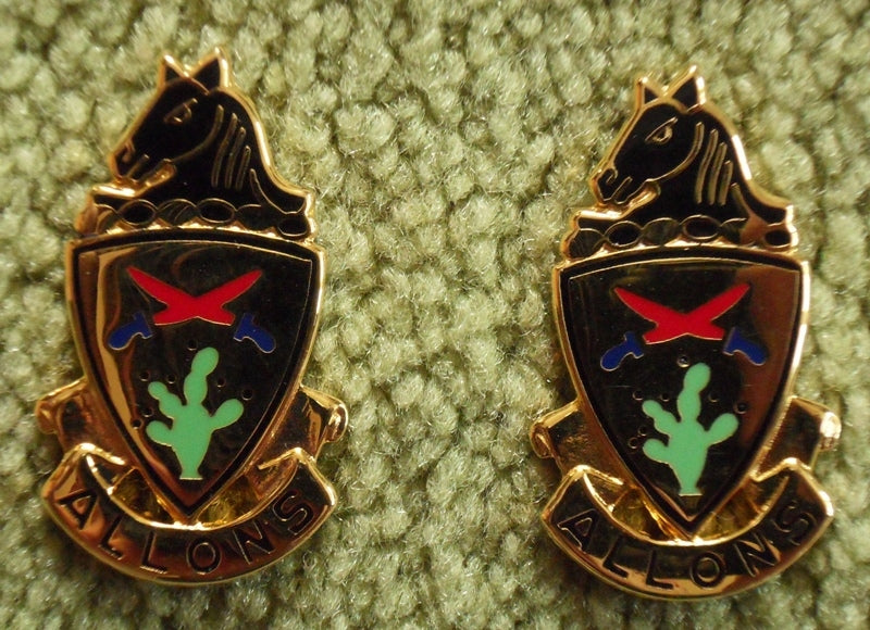 unit crest pin allons 11th acr