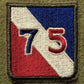 U.S. Army 75th Infantry Division WWII Patch