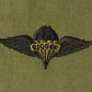 Badge US Army Parachute Rigger
