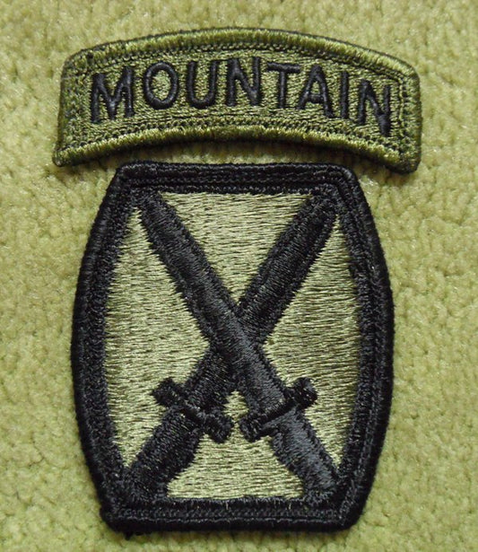 10th Mountain Division US Army Abzeichen Patch
